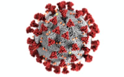 Corona Virus – Covid-19